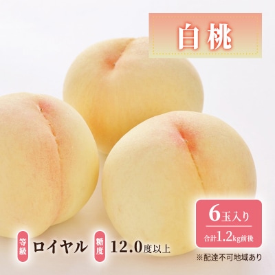 白桃 ロイヤル 糖度12.0度以上 6玉入 合計1.2kg前後 岡山県産[No.5735-1908]
