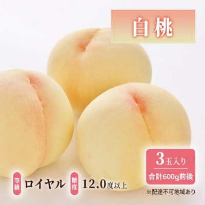 白桃 3玉入り ロイヤル 糖度12.0度以上 合計600g前後 岡山県産[No.5735-1909]