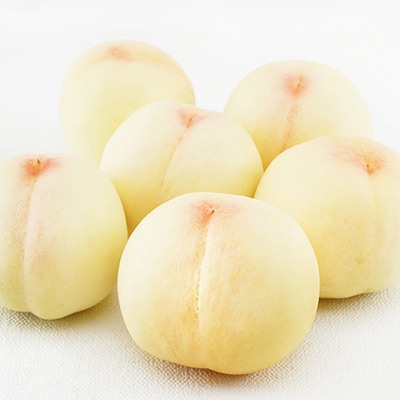 【2026年先行受付】岡山の フルーツ 定期便　 (隔月)3回 コース　[No.5735-1917]