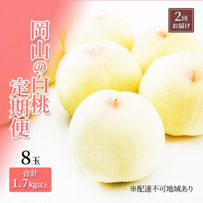 定期便 岡山 の 白桃 8玉 合計1.7kg以上×2回 お届け 化粧箱入[No.5735-1905]