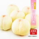晴れの国 岡山の 白桃 定期便 2回お届け 各6玉 化粧箱入り [No.5735-1916]