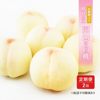晴れの国 岡山の 白桃 定期便 2回お届け 各6玉 化粧箱入り [No.5735-1916]