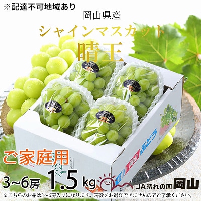 ご家庭用 シャイン マスカット 晴王 3～6房 約1.5kg 岡山県産[No.5735-1786]