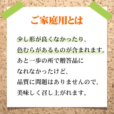 ご家庭用 シャイン マスカット 晴王 約500g×2房 岡山県産[No.5735-1787]