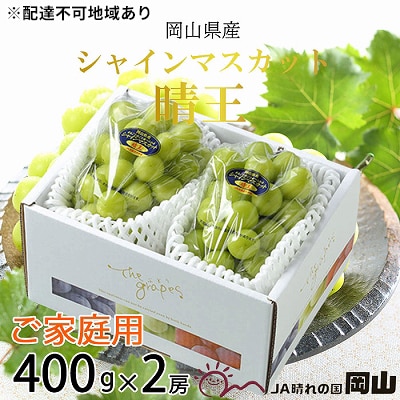 ご家庭用 シャイン マスカット 晴王 約400g×2房 岡山県産[No.5735-1788]