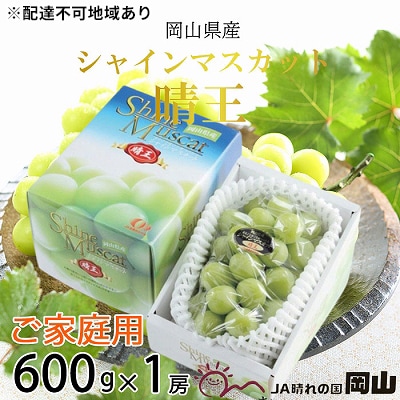 ご家庭用 シャイン マスカット 晴王 約600g×1房 岡山県産[No.5735-1789]