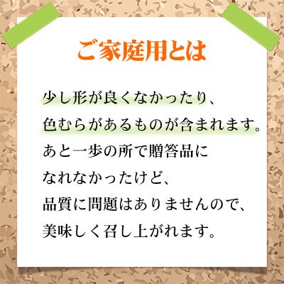 ご家庭用 シャイン マスカット 晴王 約600g×1房 岡山県産[No.5735-1789]