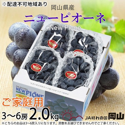 【先行受付】ご家庭用 ニュー ピオーネ 3～6房 約2kg 岡山県産[No.5735-1790]