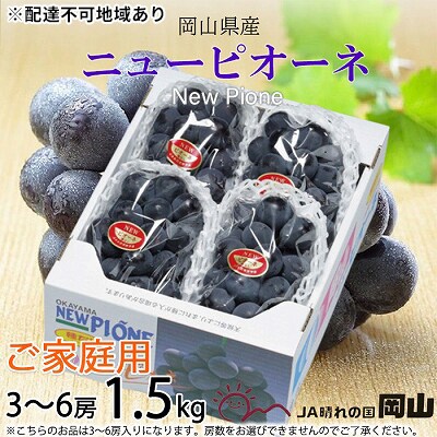 【先行受付】ご家庭用 ニュー ピオーネ 3～6房 約1.5kg 岡山県産[No.5735-1791]