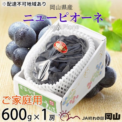 【先行受付】ご家庭用 ニュー ピオーネ 約600g×1房 岡山県産[No.5735-1794]