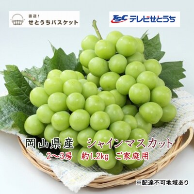 ご家庭用 シャイン マスカット 2～3房 約1.2kg  岡山県産   [No.5735-1951]