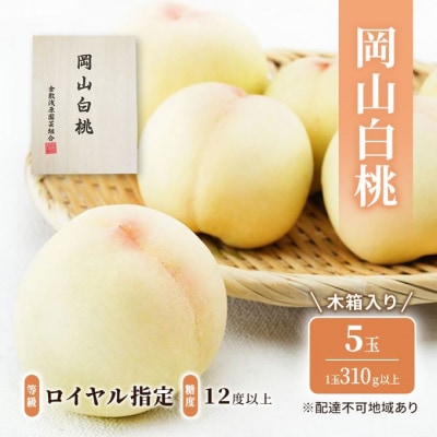 岡山 白桃 5玉(1玉310g以上)等級:ロイヤル/糖度:12度以上 [No.5735-1925]