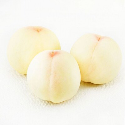 岡山 白桃 5玉(1玉310g以上)等級:ロイヤル/糖度:12度以上 [No.5735-1925]