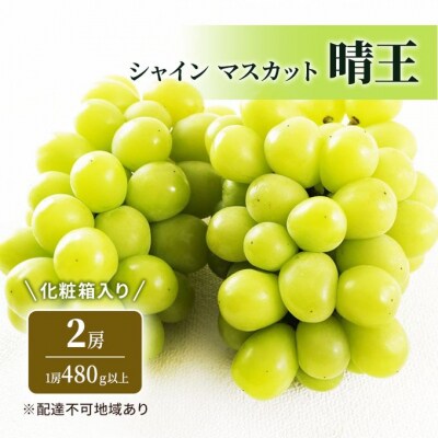 【2026年先行受付】シャイン マスカット 晴王 2房  岡山県産 [No.5735-1928]