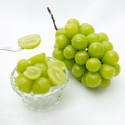 【2026年先行受付】シャイン マスカット 晴王 2房  岡山県産 [No.5735-1928]