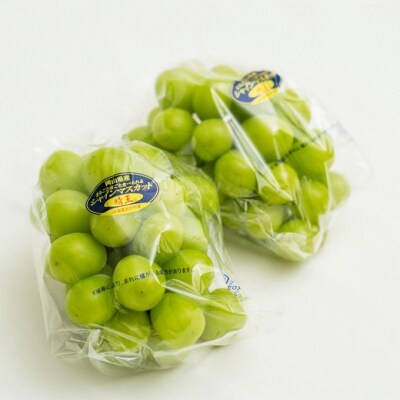 【2026年先行受付】シャイン マスカット 晴王 2房  岡山県産 [No.5735-1928]