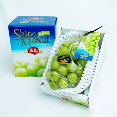 【2026年先行受付】シャイン マスカット 晴王 2房  岡山県産 [No.5735-1928]