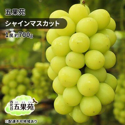 【2026年先行受付】シャイン マスカット 1房 約700g 岡山五果苑[No.5735-1860]