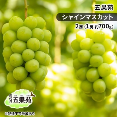 【2025年先行受付】シャインマスカット2房(1房約700g)岡山五果苑[No.5735-1861]