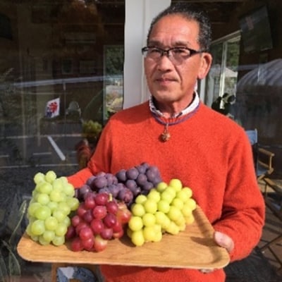 ご家庭用 シャインマスカット 約700g(1房～数房)岡山 五果苑 [No.5735-1864]