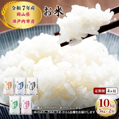 定期便 4ヶ月 令和7年産 お米 5kg×2袋 特A 岡山県 瀬戸内市産[No.5735-1809]