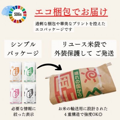 定期便 3ヶ月 令和6年産 お米 5kg×4袋 特A 岡山県 瀬戸内市産[No.5735-1820]