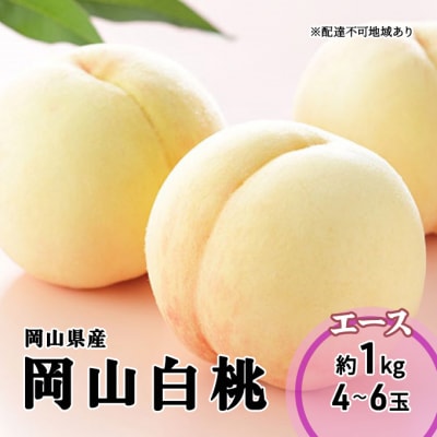 【2026年先行受付】岡山 白桃 エース 4～6玉 1kg 岡山県産 [No.5735-1982]