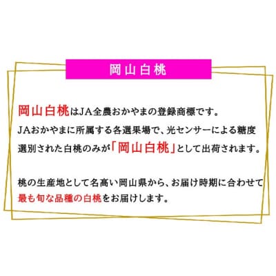 【2025年先行受付】岡山 白桃 エース 4～6玉 1kg 岡山県産 [No.5735-1982]