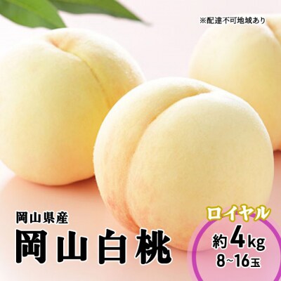 【2026年先行受付】岡山白桃ロイヤル 8～16玉 4.0kg岡山県産[No.5735-1987] 