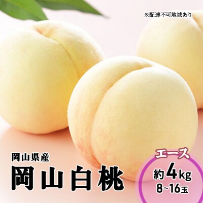 【2026年先行受付】岡山白桃 エース 8～16玉 4.0kg 岡山県産[No.5735-1988]