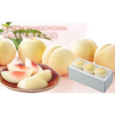岡山 白桃 エース 3玉×200g(Lサイズ) 岡山県産 [No.5735-1990] 