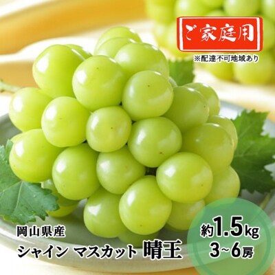 ご家庭用 シャイン マスカット 晴王 3～6房 約1.5kg 岡山県産 [No.5735-1992]