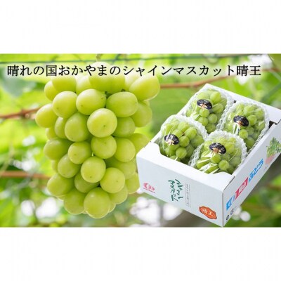 ご家庭用 シャイン マスカット 晴王 3～6房 約1.5kg 岡山県産 [No.5735-1992]