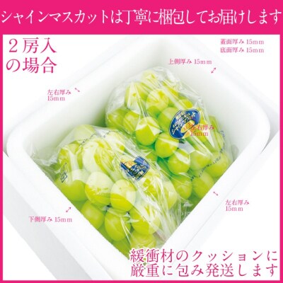 【プレミアムシャインマスカット晴王 2房 合計約1.2kg 】赤秀品以上[No.5735-1962]