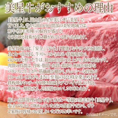 黒毛和牛 サーロインステーキ 約200g×2パック A4等級以上 牛脂付[No.5735-1969]