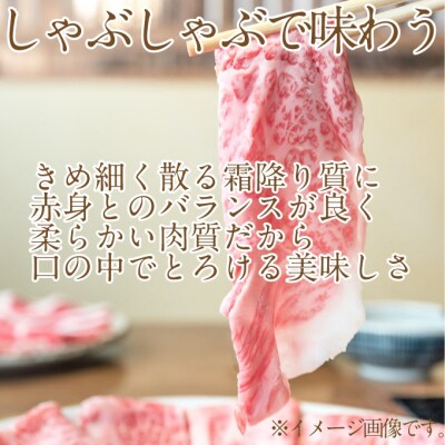 黒毛和牛 定期便2回 サーロインステーキ・しゃぶしゃぶすき焼き用 各1回[No.5735-1971]