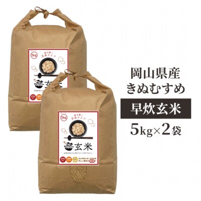 令和7年産 早炊 玄米  きぬむすめ 5kg×2袋 岡山県産  [No.5735-1977]