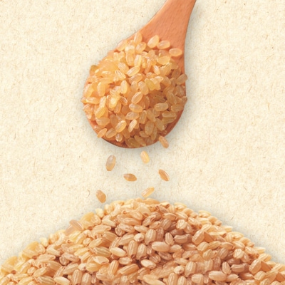 令和7年産 早炊 玄米  きぬむすめ 5kg×2袋 岡山県産  [No.5735-1977]