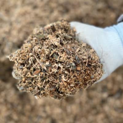 岡山名産 ぶどう 食べ比べ 詰合せ セット 3房 約1.5kg ご家庭用[No.5735-1980]