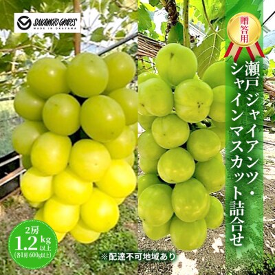 瀬戸ジャイアンツ・シャインマスカット詰合せ 各1房600g以上 岡山県産[No.5735-1996]