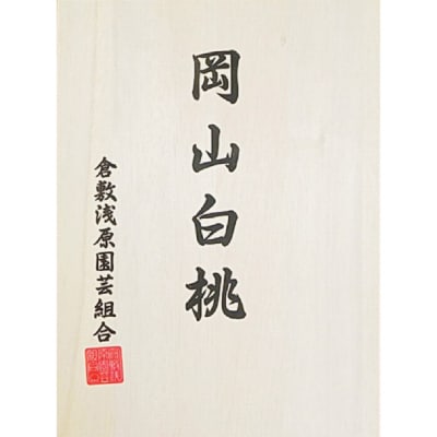 【2025年先行受付】白桃 ロイヤル 5玉 (1.5kg以上) 岡山県産[No.5735-2003]