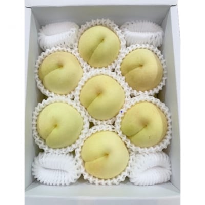 【2026年先行受付】冬桃がたり6～9玉(約1.3kg) 岡山県産 [No.5735-2004]