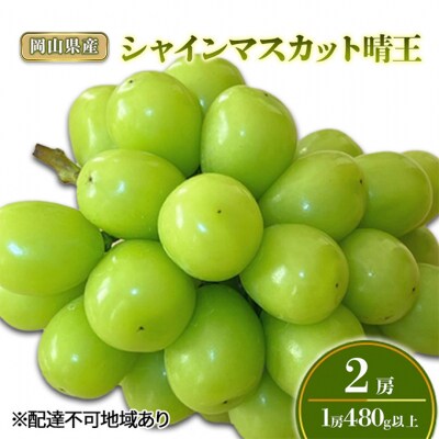 シャインマスカット 晴王2房(1房480g以上) 化粧箱入り 岡山県産 [No.5735-2008]