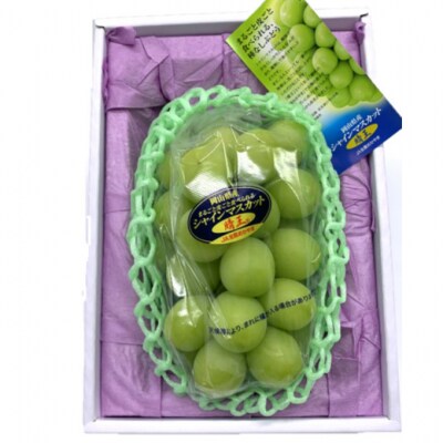 シャインマスカット 晴王2房(1房480g以上) 化粧箱入り 岡山県産 [No.5735-2008]