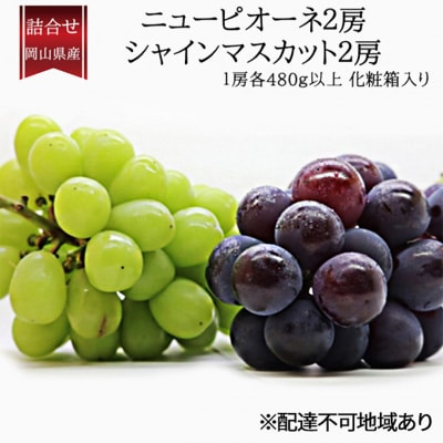 ニューピオーネ・シャインマスカット晴王 各2房 化粧箱入り 岡山県産 [No.5735-2011]