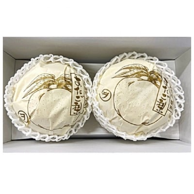 2026年先行受付 あたご梨 2玉 青秀以上 (約1.4kg) 化粧箱入[No.5735-2016]