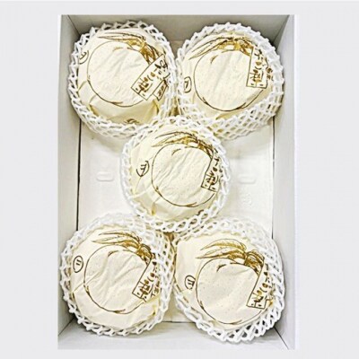 2026年先行受付 あたご梨 3-6玉 青秀以上 (約4kg) 化粧箱入[No.5735-2017]