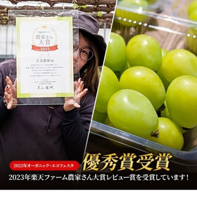 正金農園直送 シャインマスカット 粒タイプ 270g×4パック 岡山県 正金農園直送 シャインマスカット 粒タイプ 270g×4パック 岡山県
