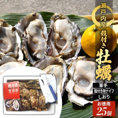牡蠣 殻付き 小粒牡蠣 25個 お徳用 約3kg  [No.5735-2034]