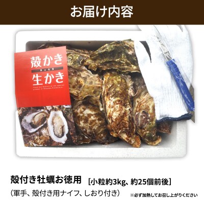 牡蠣 殻付き 小粒牡蠣 25個 お徳用 約3kg  [No.5735-2034]